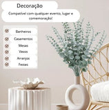 PLANTAS PARA DECORAÇÃO